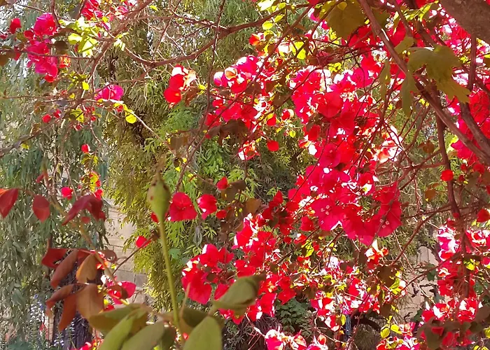 מלון Faliraki *