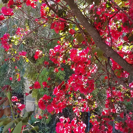 Faliraki Hotel Benitses (Corfu)