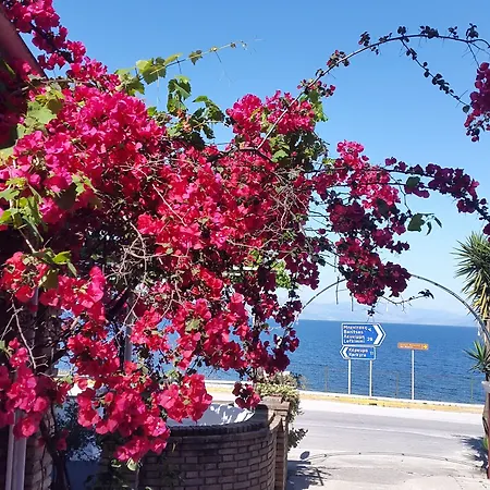 Hotel Faliraki Benitses (Corfu)