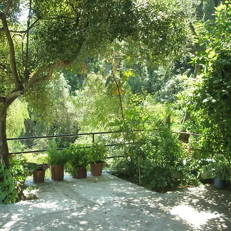 Hotel Faliraki *
