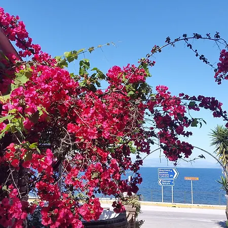 Faliraki * Mpenitses